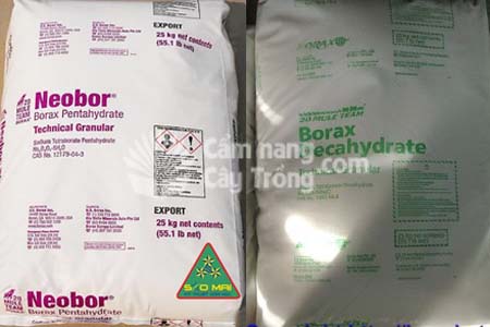 Pentahydrat natritetrabonat (Borax đỏ) và Decahidrat natri tetrabonat (Borax xanh)