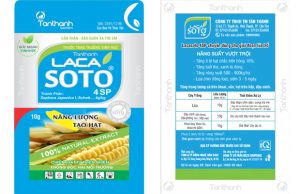 LACASOTO 4SP MẶT TRƯỚC