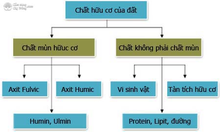 Phân loại chất hữu cơ, mùn hữu cơ