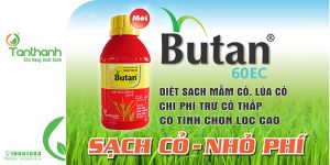 butan 60ec - thuốc diệt mầm cỏ lúa