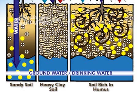 Tác dụng của các chất hữu cơ và Axit humic trong phân bón đối với các loại đất