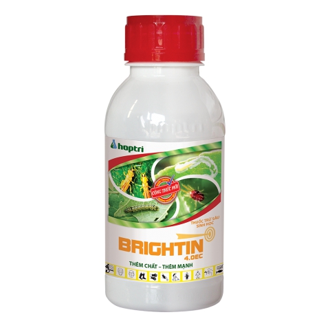 Brightin4.0EC