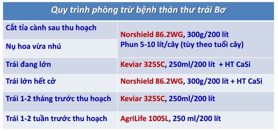 QuyTrinhPhongTruBenhThanThu